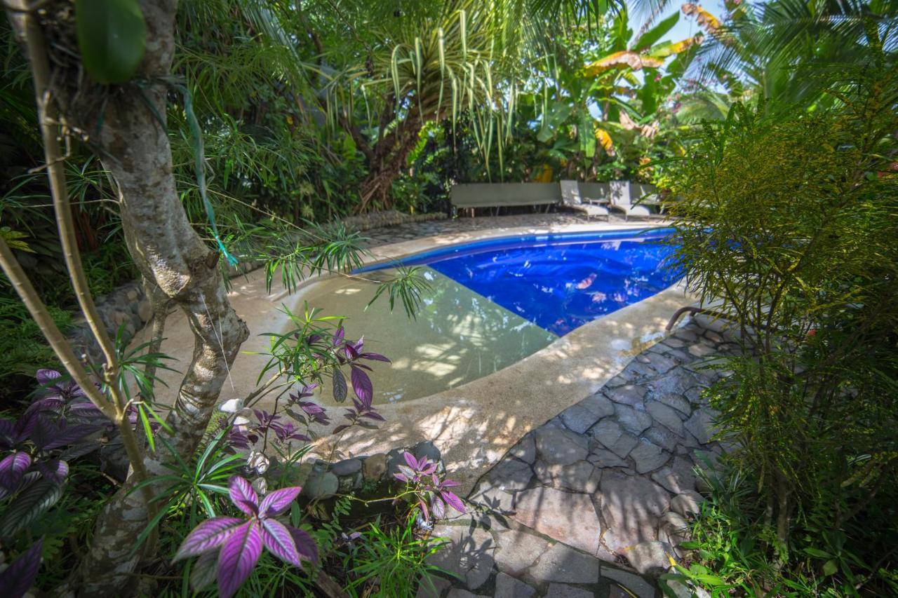 Villas Oasis Manuel Antonio Eksteriør bilde